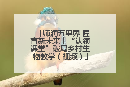 师润五里界 匠育新未来丨“认领课堂”破局乡村生物教学（视频）